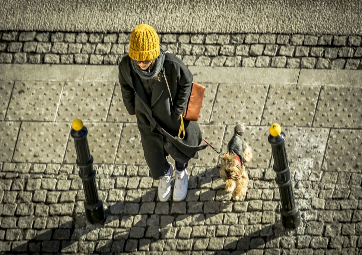 Woman in a mustard knit hat with a small dog framed between black bollards